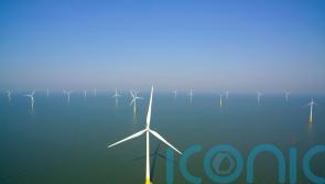 ScotWind projects could bring £25bn boost to supply chain, say developers