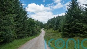 Search for missing woman continues at remote beauty spot