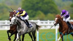 Princess Zoe not for passing in Sagaro Stakes