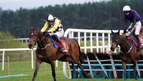 The Nice Guy follows up Cheltenham triumph