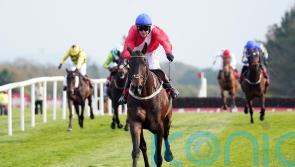 Allaho storms to all-the-way Punchestown Gold Cup win