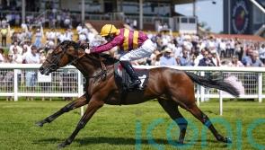 Bayside Boy skips Newmarket for French Guineas