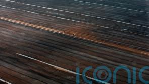 Govt plan to restrict turf sales 'not an outright ban', insists Eamon Ryan