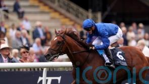 Globetrotting Yibir poised for starring role at Newmarket