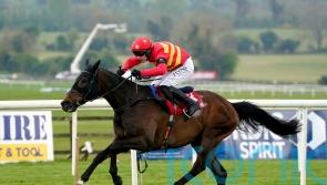 Klassical Dream hits the right note for Punchestown repeat
