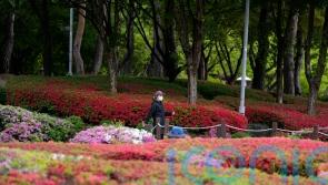 South Korea to relax outdoor mask mandate as Covid-19 slows