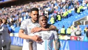 Cardiff and Swansea condemn racist language in video from South Wales derby