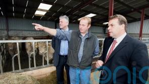 Neil Parish MP: a former farmer with a passion for the countryside
