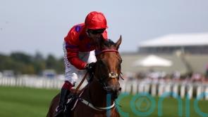 Dreamloper aiming to continue on upward curve