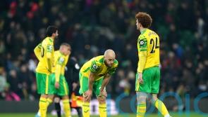 Norwich relegated – where did it go wrong for the Canaries?