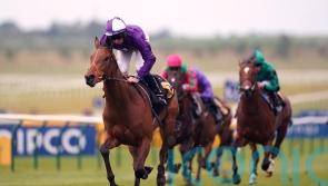 Miami Girl rockets into Royal Ascot reckoning