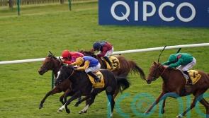 Dreamloper gets the nod in Dahlia Stakes thriller