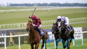 Stylish success sees Buckaroo enter Irish 2,000 Guineas picture