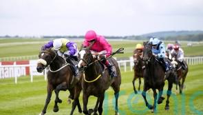 Layfayette continues progression in Mooresbridge Stakes