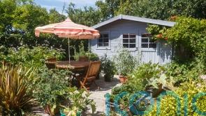 5 of the best parasols for your garden
