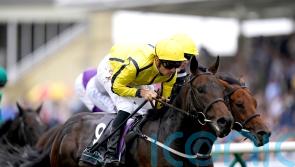 Commonwealth Cup under consideration for Perfect Power