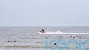 Volunteers criticise jet-skiers for &lsquo;harassing&rsquo; seals resting on shoreline