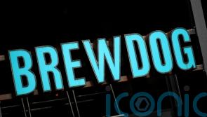 BrewDog to hand staff shares worth £120,000 and give workers 50% of bar profits