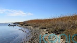 Indigenous peoples ‘have globally harvested billions of oysters sustainably’