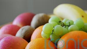 Diets of British teenagers are unhealthy and unsustainable, says study
