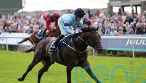 Royal Patronage poised to put Derby hopes on the line