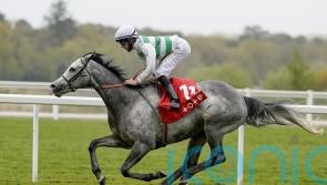 Albaflora goes for Ormonde gold on seasonal return