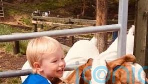 Julius Czapla murder: I will fight to ensure my son’s killer never leaves jail
