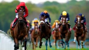 Gosden duo headline eight in the mix for Musidora prize