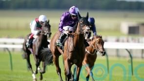 Hello You coming back in trip after Guineas effort