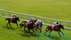 Hamish has too much for Ormonde rivals