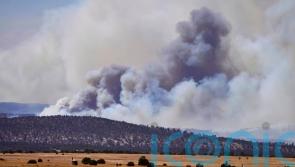 Joe Biden declares disaster in New Mexico wildfire zone