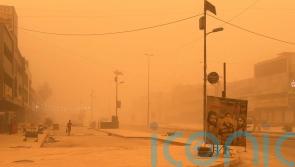 Sandstorm suspends flights as many Iraqis struggle to breathe