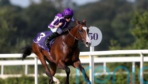 O’Brien dominates Dante possibles with four-strong squad