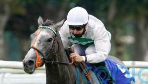 Coronation Cup date pencilled in for Alpinista