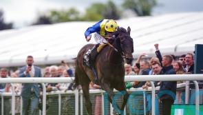 Solid Stone powers to Huxley Stakes victory