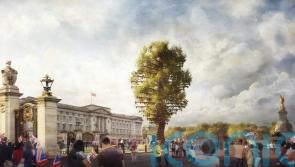 New approach to principal beacon lighting at Buckingham Palace