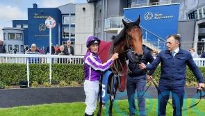 Little Big Bear makes strong impression at Naas