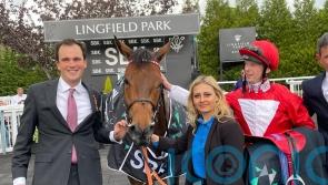 Rogue Millennium sparks Classic dreams
