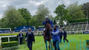 Noble Style makes perfect start at Ascot