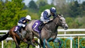 Fumata too good for Waterville in Leopardstown contest