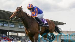 Leopardstown winner History in line for Irish Guineas outing