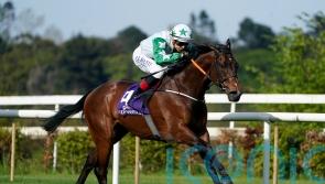 McGuinness works his magic with Pretreville