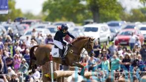 Bronze hare statue worth £19,000 stolen from Badminton Horse Trials
