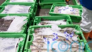 Scotland punching above its weight on food and drink export – report
