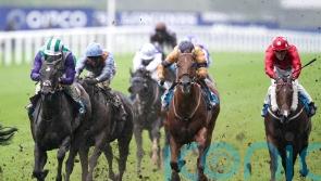 Fellowes mounts dual assault on Duke Of York prize