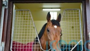 O’Brien confident Luxembourg can make his mark despite Derby absence