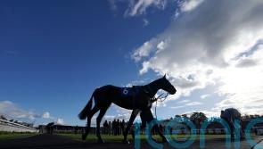 Racing Welfare launches Mental Health Awareness Week campaign