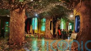 Shortlist announced for Art Fund museum of the year