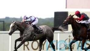 Retirement beckons for Lola Showgirl following Group Three strike