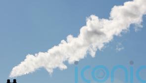 Place cap on use of incineration in waste disposal, expert says